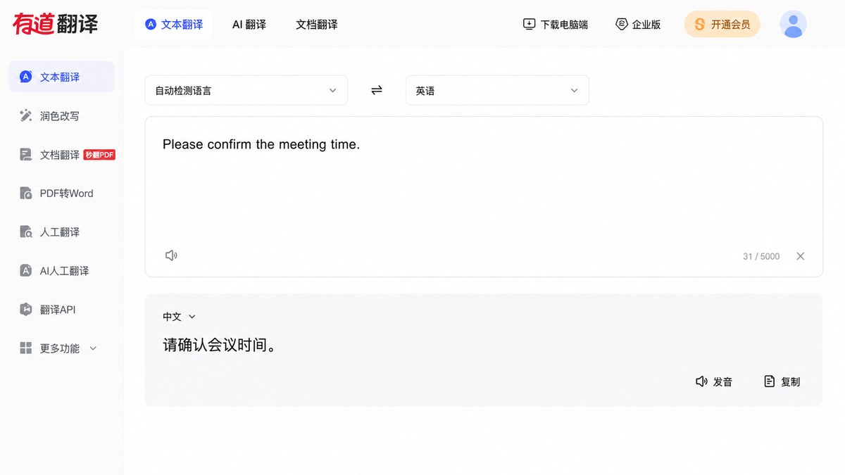 有道翻译网页端正常加载翻译输入区和功能按钮