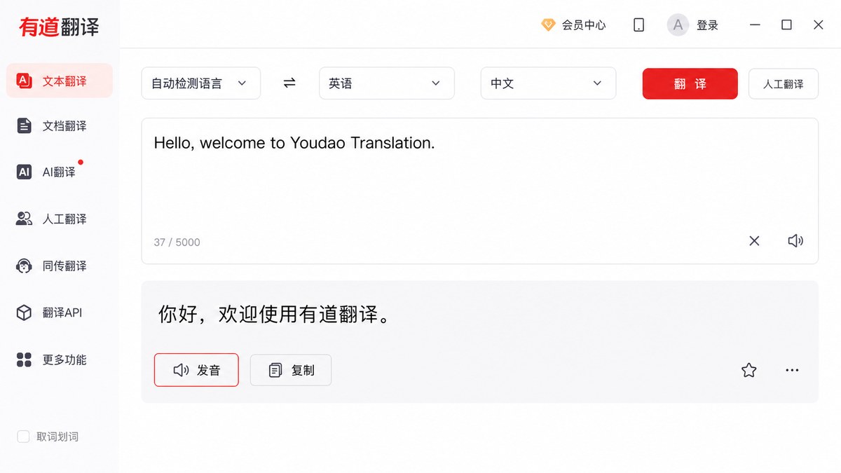 有道翻译结果区域中的发音播放按钮
