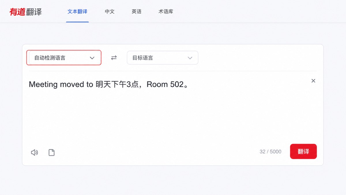 有道翻译自动检测语种模式下的文本输入区域
